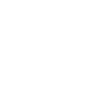icon-1 icon-1