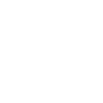 icon-2 1-10