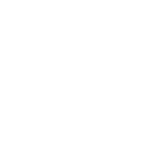 icon-3 11-100