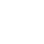 8 8