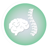 neuro neuro